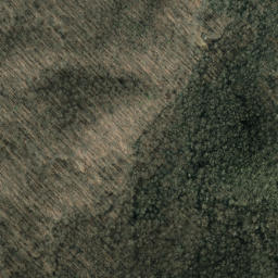 Satellite imagery of Short Bunk, US