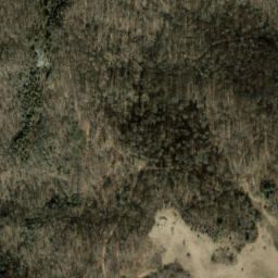 Satellite imagery of Raven Cliff, US