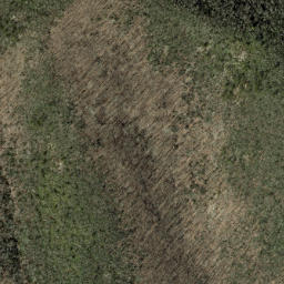 Satellite imagery of Little Piney Ridge, US