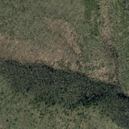 Satellite imagery of Birch Ridge, US