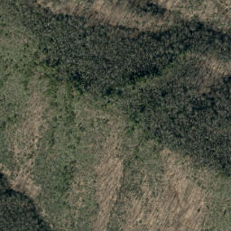 Satellite imagery of Birch Ridge, US