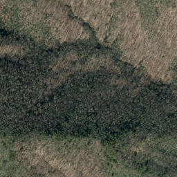 Satellite imagery of Birch Ridge, US