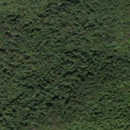 Satellite imagery of Rocky Branch Mine, US
