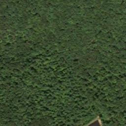 Satellite imagery of Rocky Branch Mine, US