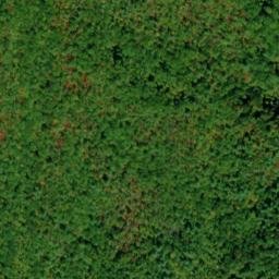 Satellite imagery of Lumber Ridge, US