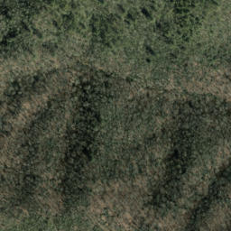 Satellite imagery of Middle Ridge, US