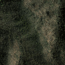 Satellite imagery of Chesnut Flat Ridge, US