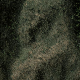 Satellite imagery of Chesnut Flat Ridge, US