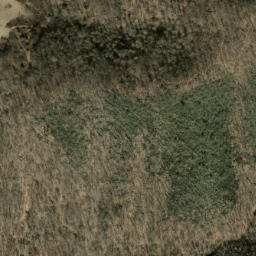 Satellite imagery of Sams Land, US