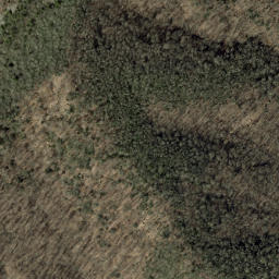 Satellite imagery of Little Piney Ridge, US