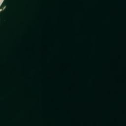 Satellite imagery of Engineer Point, US