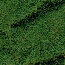Satellite imagery of Lumber Ridge, US