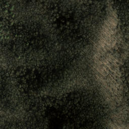 Satellite imagery of Chesnut Flat Ridge, US