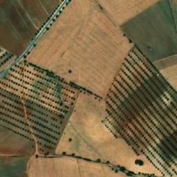 Satellite imagery of Serdjet el Ammari, DZ