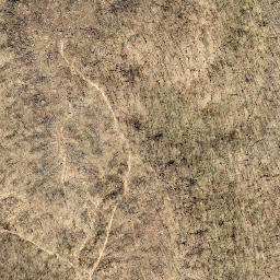 Satellite imagery of Jungle Ridge, US