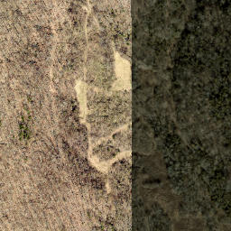 Satellite imagery of Jungle Ridge, US