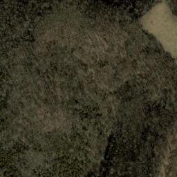 Satellite imagery of Jungle Ridge, US