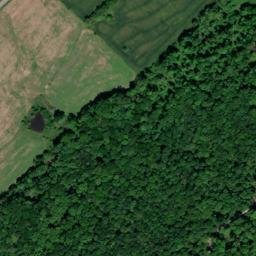 Satellite imagery of Lookout Point, US