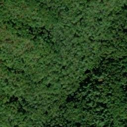 Satellite imagery of Beard Cane Mountain, US