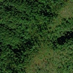 Satellite imagery of Beard Cane Mountain, US