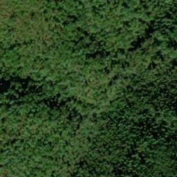 Satellite imagery of Beard Cane Mountain, US