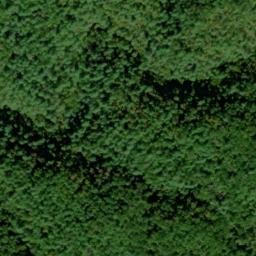Satellite imagery of Crooked Ridge, US