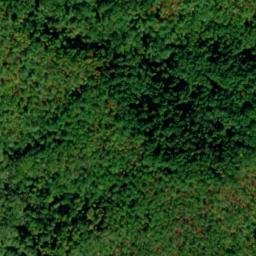 Satellite imagery of Mill Ridge, US