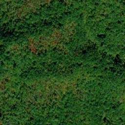 Satellite imagery of Mill Ridge, US