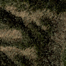 Satellite imagery of Balsam Ridge, US