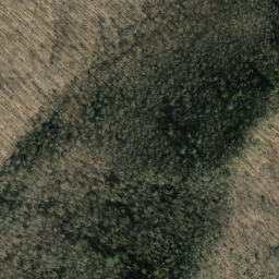 Satellite imagery of Jesse Ridge, US