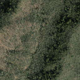 Satellite imagery of Jesse Ridge, US