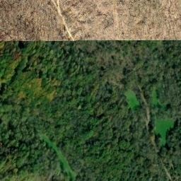 Satellite imagery of Jungle Ridge, US