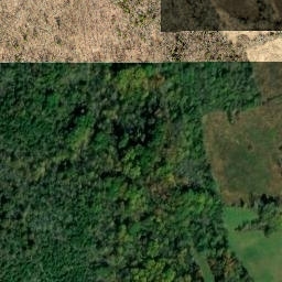 Satellite imagery of Jungle Ridge, US