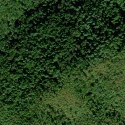 Satellite imagery of Beard Cane Mountain, US