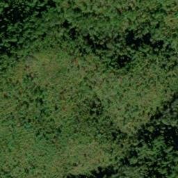 Satellite imagery of Beard Cane Mountain, US