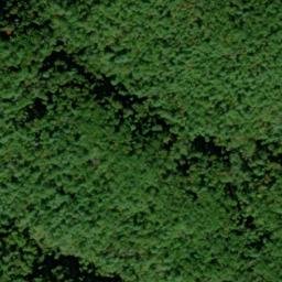 Satellite imagery of Crooked Ridge, US
