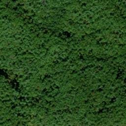 Satellite imagery of Crooked Ridge, US