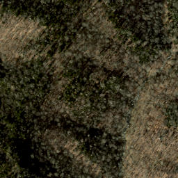 Satellite imagery of Balsam Ridge, US