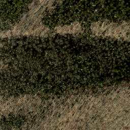 Satellite imagery of Balsam Ridge, US