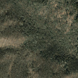 Satellite imagery of Trail Ridge, US