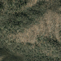 Satellite imagery of Trail Ridge, US