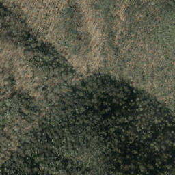 Satellite imagery of Trail Ridge, US