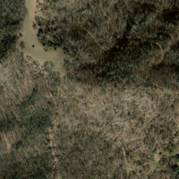 Satellite imagery of Long Levels, US