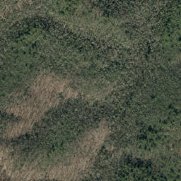 Satellite imagery of Horse Ridge, US