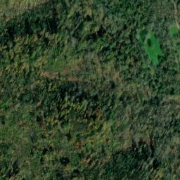 Satellite imagery of Jungle Ridge, US