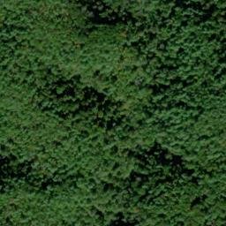 Satellite imagery of Wedge Ridge, US