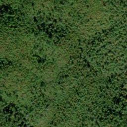 Satellite imagery of Beard Cane Mountain, US