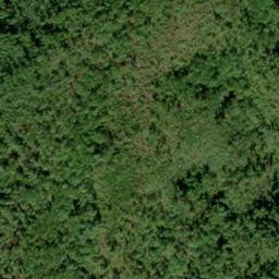 Satellite imagery of Beard Cane Mountain, US