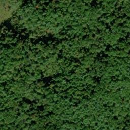 Satellite imagery of Bearpen Ridge, US