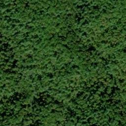 Satellite imagery of Bearpen Ridge, US